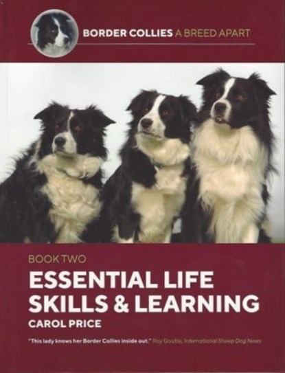 Life Skills and Learning, Carol Price - Paperback - 9781910488508