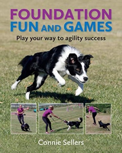 Foundation Fun And Games, Connie Sellers - Paperback - 9781910488515