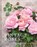 Vintage Roses, Jane Eastoe - Gebonden - 9781910496909