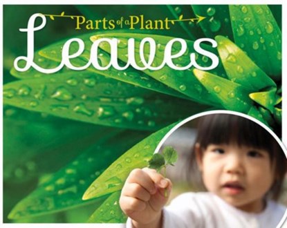 Leaves, Gemma McMullen - Gebonden - 9781910512524