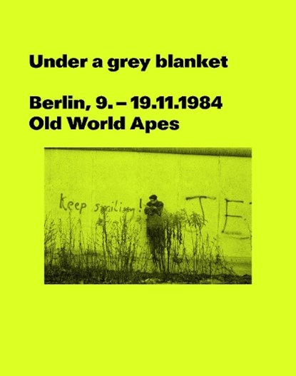 Under a grey blanket, Rick Buckley ; Andrew Hunt - Paperback - 9781910516225