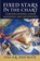 Fixed Stars in the Chart, Oscar Hofman - Paperback - 9781910531372
