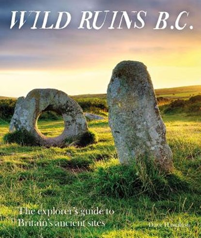 Wild Ruins BC, Dave Hamilton - Paperback - 9781910636169