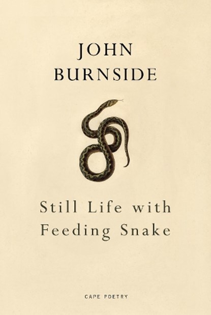 Still Life with Feeding Snake, John Burnside - Paperback - 9781910702413