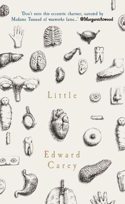 Little, Edward Carey - Paperback - 9781910709566