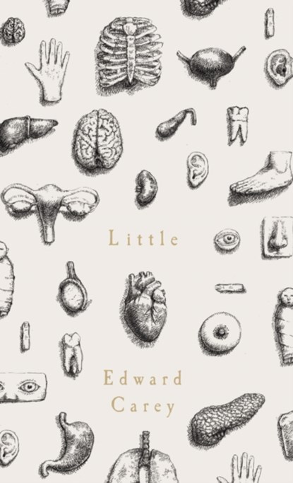 Little, Edward Carey - Paperback - 9781910709566