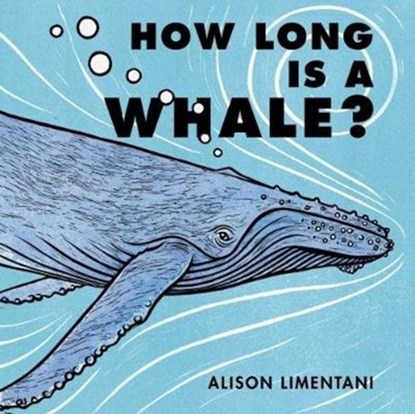 How Long is a Whale?, Alison Limentani - Paperback - 9781910716519
