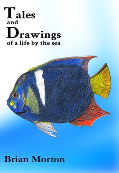 Tales and Drawings of a Life by the Sea, Brian Morton - Ebook - 9781910757796