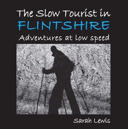 The Slow Tourist in Flintshir, Sarah Lewis - Paperback - 9781910758458