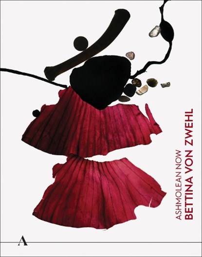 Ashmolean NOW: Bettina von Zwehl, Lena Fritsch ; Stephen Grosz ; Ciara Ennis - Paperback - 9781910807637