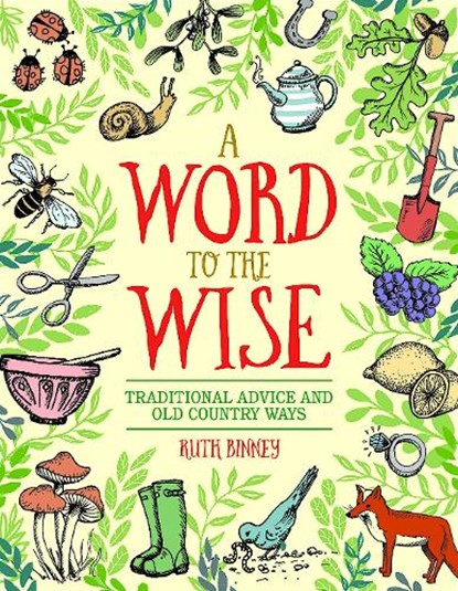 A Word to the Wise, Ruth Binney - Gebonden - 9781910821114