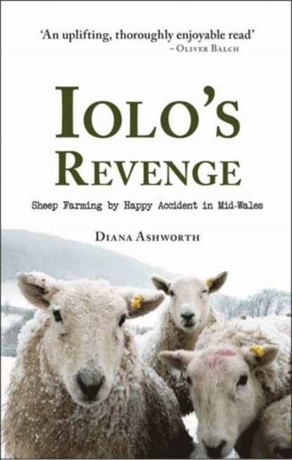 Iolo's Revenge, Diana Ashworth - Paperback - 9781910839249