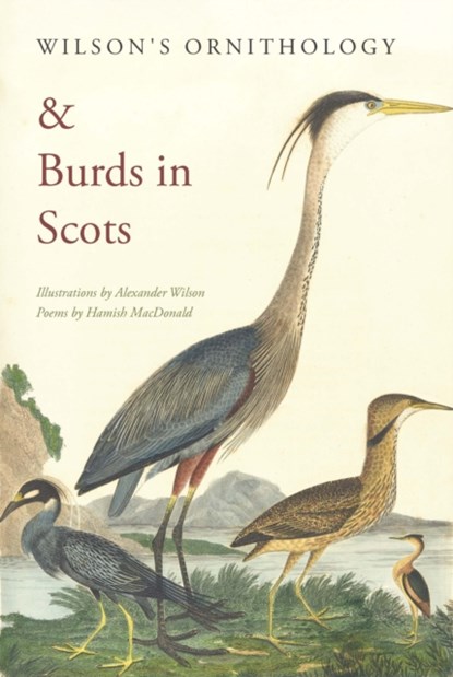Wilson's Ornithology and Burds in Scots, Hamish MacDonald - Paperback - 9781910895399