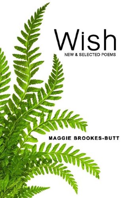 Wish, Maggie Brookes-Butt - Paperback - 9781910996850