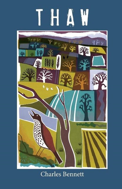 Thaw, Charles Bennett - Paperback - 9781911048336