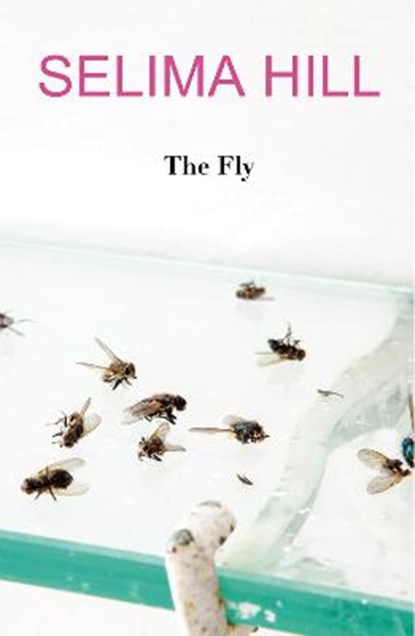 The Fly, Selima Hill - Paperback - 9781911048589
