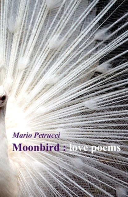 Moonbird, Mario Petrucci - Paperback - 9781911048749