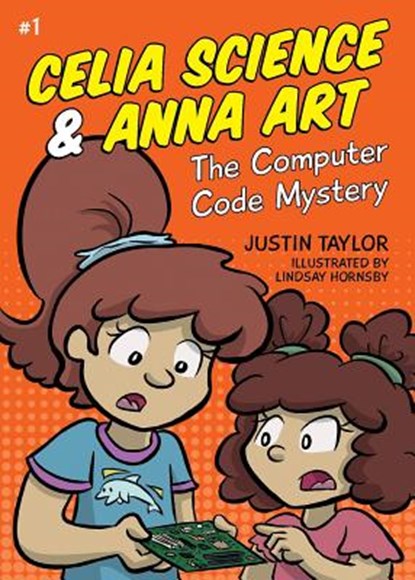The Computer Code Mystery, Justin Taylor - Paperback - 9781911079170