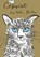 Copycat, Helen Borten - Gebonden - 9781911081142