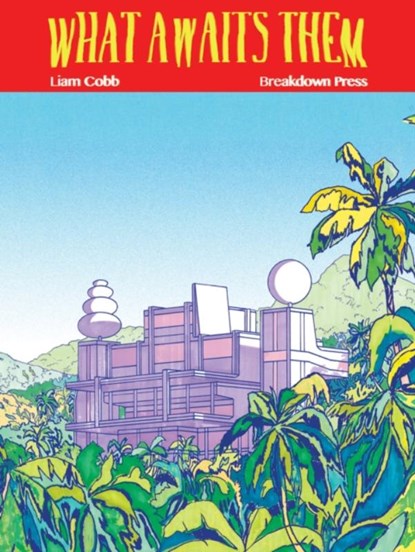 What Awaits Them, Liam Cobb - Paperback - 9781911081227