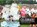 Celebrate!, Guy Farrar ; Max Farrar - Gebonden - 9781911148180
