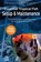 Essential Tropical Fish, Anne Finaly - Paperback - 9781911174530