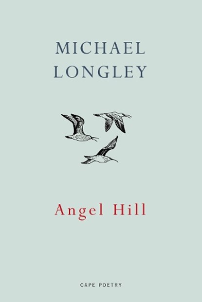 Angel Hill, Michael Longley - Paperback - 9781911214083