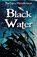 Black Water, Barbara Henderson - Paperback - 9781911279624