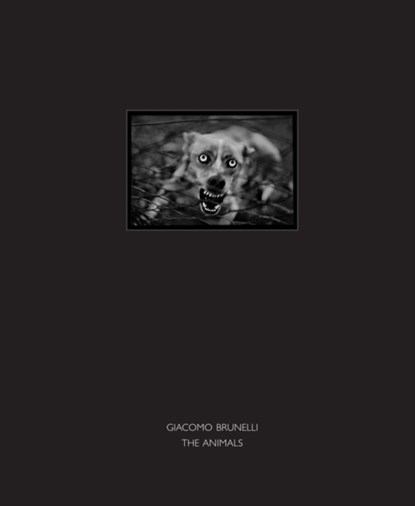 The Animals, Giacomo Brunelli - Gebonden - 9781911306085