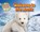 Welcome to the Arctic, Honor Head - Paperback - 9781911341512