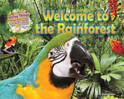 Welcome to the Rainforest, Honor Head - Paperback - 9781911341543