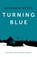 Turning Blue, Benjamin Myers - Paperback - 9781911356004