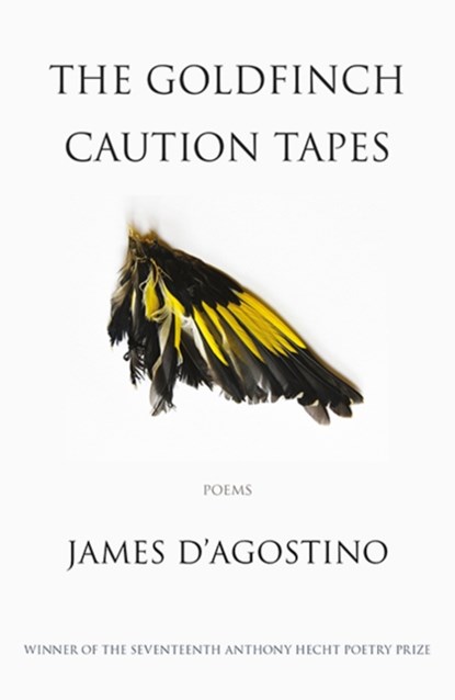 The Goldfinch Caution Tapes, James D'Agostino - Paperback - 9781911379126