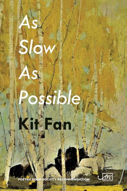 As Slow As Possible, Kit Fan - Paperback - 9781911469438