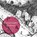 Renaissance Galway, Paul Walsh - Paperback - 9781911479079