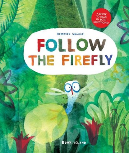 Follow the Firefly/Run, Rabbit, Run, Bernardo Carvalho - Gebonden - 9781911496335