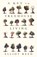A Key to Treehouse Living, Elliot Reed - Paperback - 9781911545415