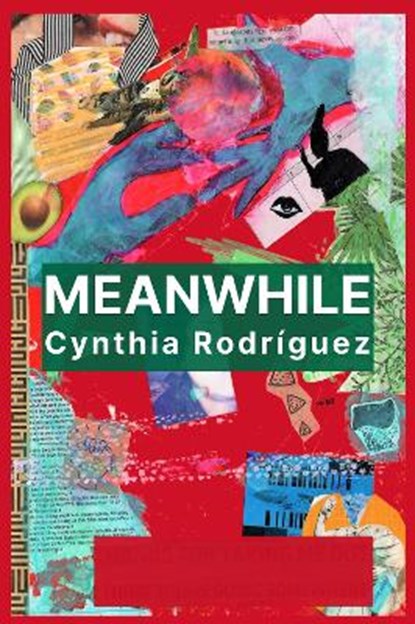 Meanwhile, Cynthia Rodriguez - Paperback - 9781911570943