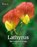 Lathyrus: The Complete Guide, Greg Kenicer ; Roger Parsons - Gebonden - 9781911666127