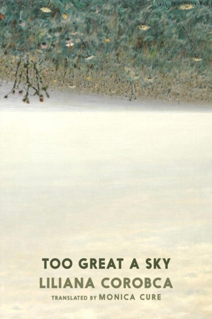 Too Great A Sky, Liliana Corobca - Paperback - 9781911710134
