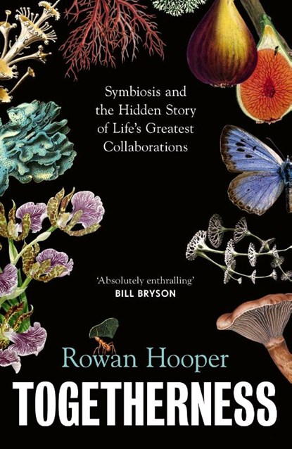 Togetherness, Rowan Hooper - Paperback - 9781911717157