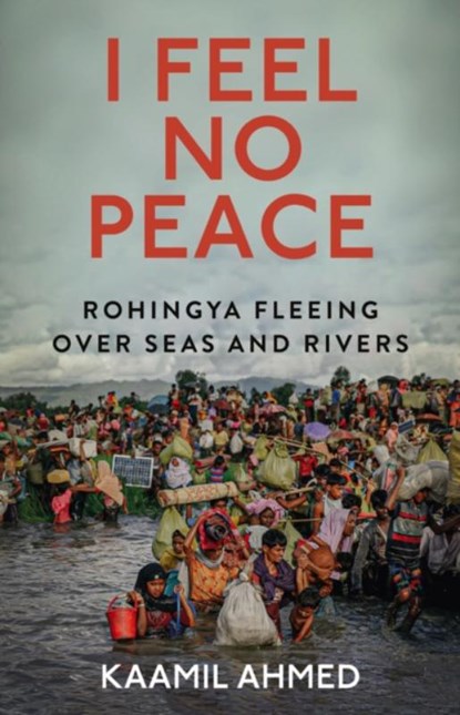 I Feel No Peace, Kaamil Ahmed - Paperback - 9781911723929