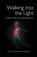 Walking in the Light, TOMLINSON,  Tracey Howarth - Paperback - 9781912014132