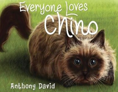 Everyone Loves Chino, Anthony David - Paperback - 9781912021031