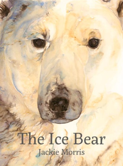 The Ice Bear, Jackie Morris - Gebonden - 9781912050468