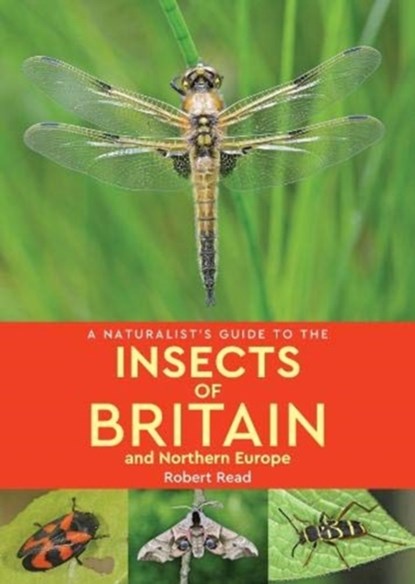 A Naturalist's Guide to the Insects of Britain and Northern Europe (2nd edition), Robert Read - Paperback - 9781912081172