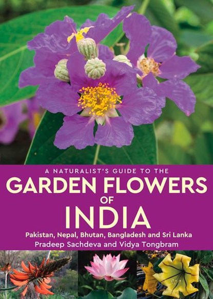 A Naturalist's Guide to the Garden Flowers of India, Pradeep Sachdeva ; Vidya Tongbram - Paperback - 9781912081752