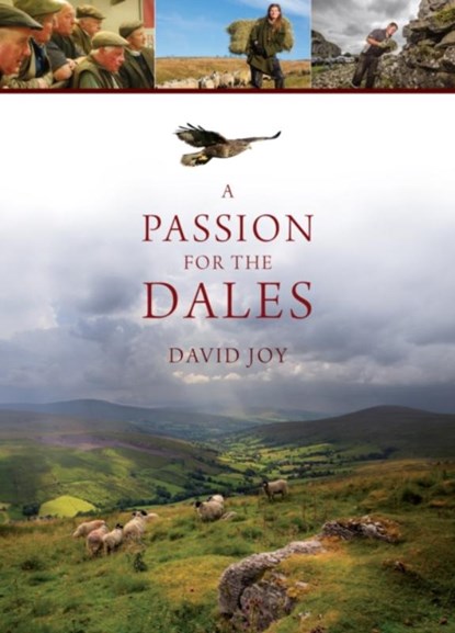 A Passion For The Dales, David Joy - Gebonden - 9781912101030