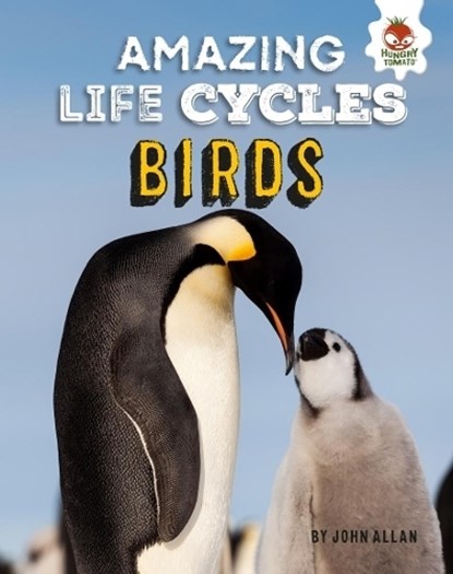 Birds - Amazing Life Cycles, John Allan - Gebonden - 9781912108367