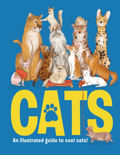 CATS, Eliza Jeffery - Gebonden - 9781912108565
